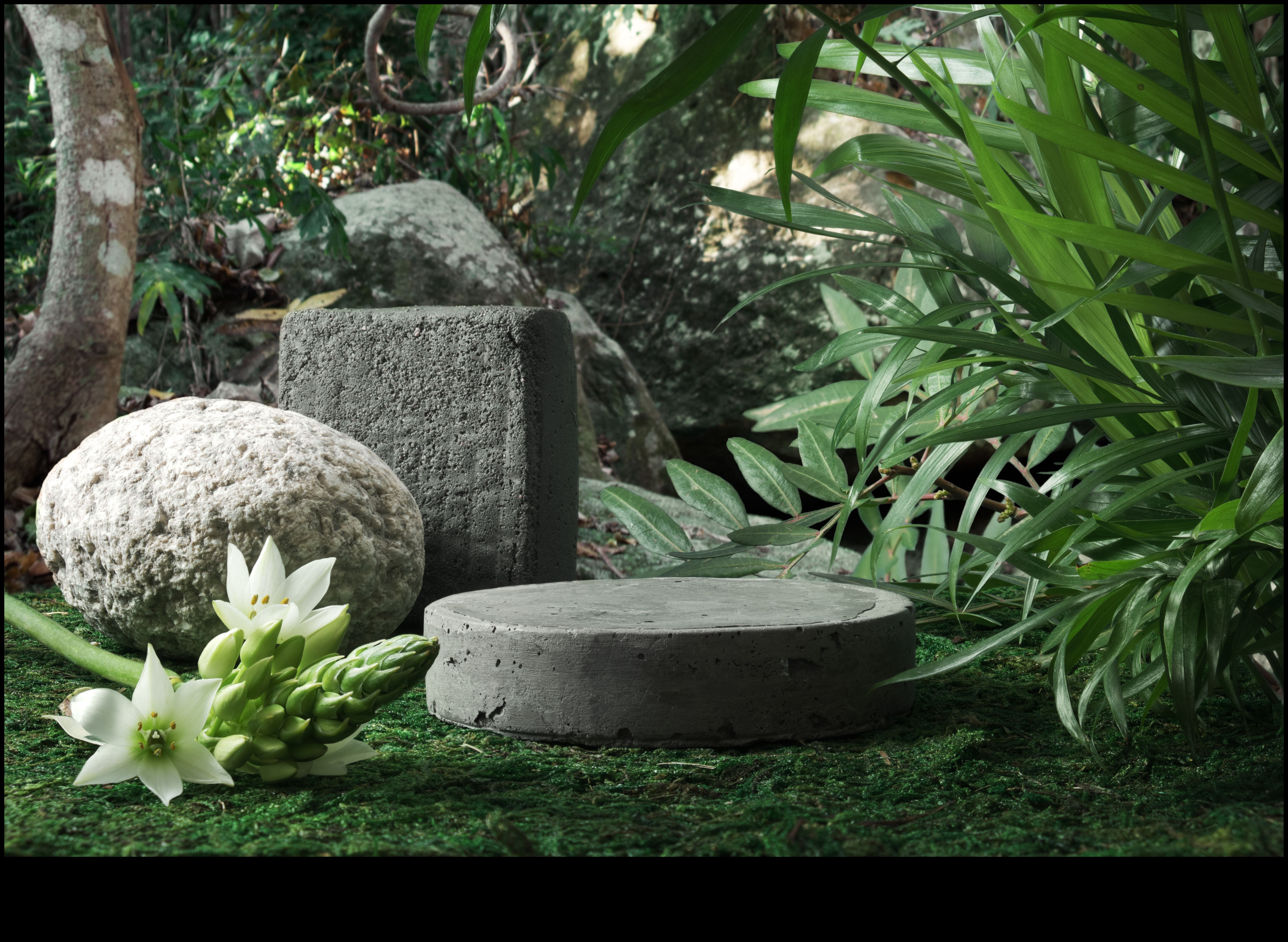 حدائق صديقة للبيئة عجائب DIY مستدامة بانتظارك 5 حدائق صديقة للبيئة: عجائب DIY المستدامة في انتظارك