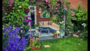 قماش الطبيعة: مشاريع فنية يمكنك تنفيذها بنفسك لحديقتك