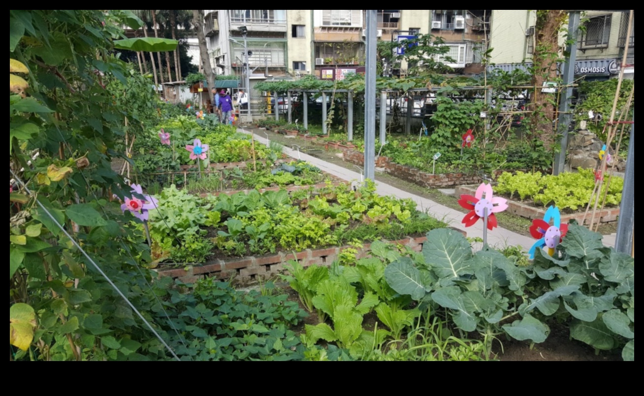 زهر وسط المباني: أسرار البستنة الحضرية