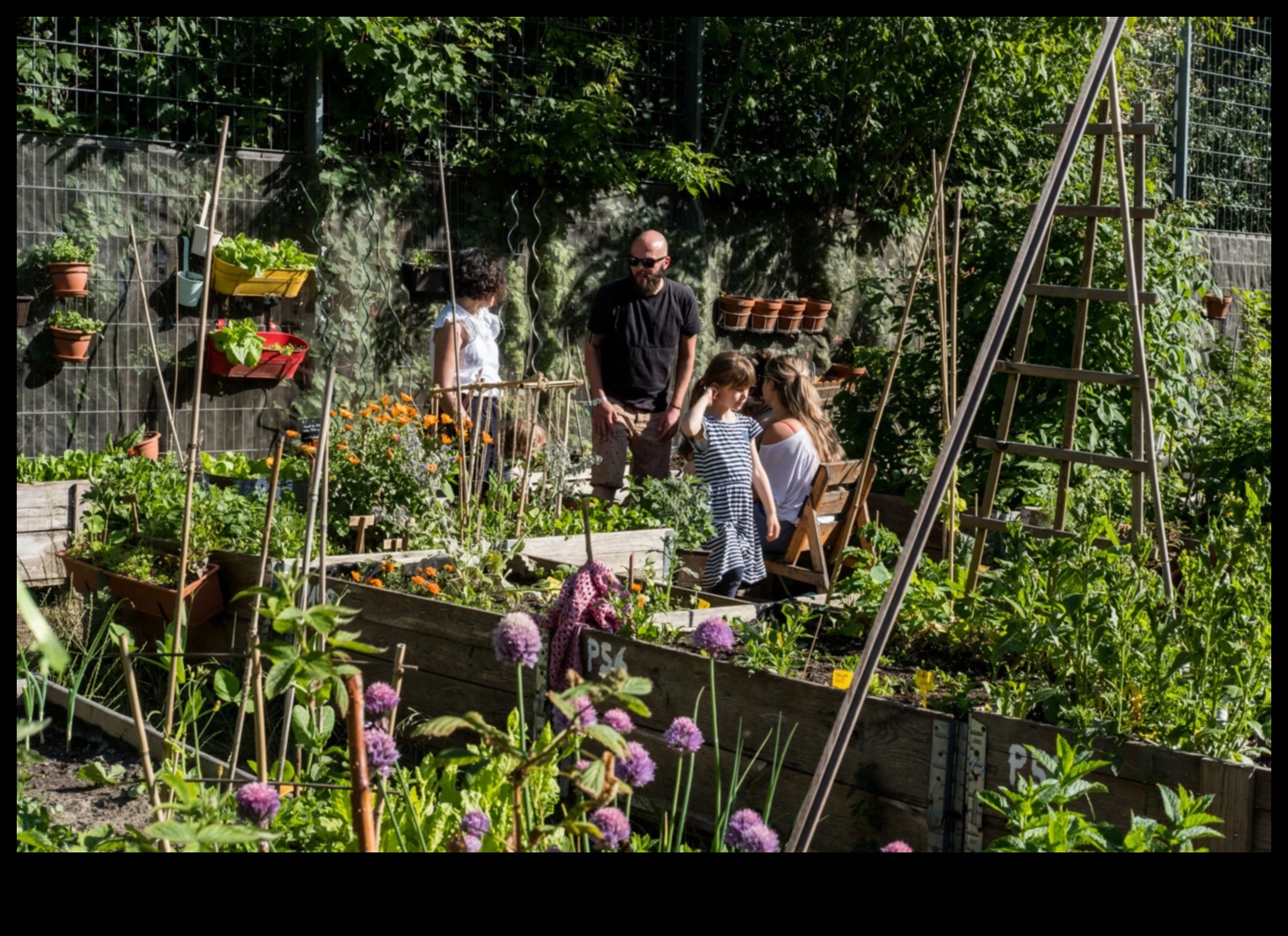 زهر وسط المباني: أسرار البستنة الحضرية