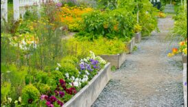 أزهار وفيرة: تعظيم الجمال من خلال صيانة الحدائق المتخصصة