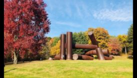 عجائب النحت: استكشاف سحر فن الحديقة