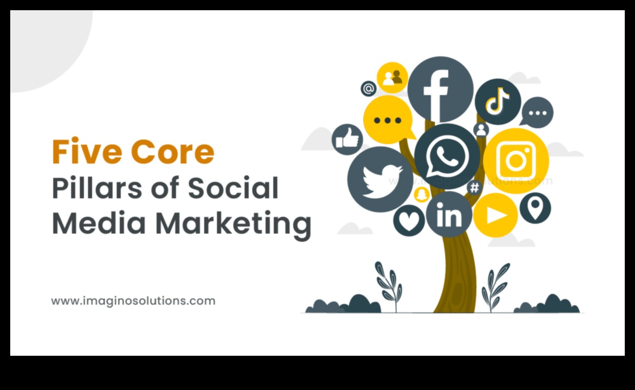 ما هي العناصر الأساسية لحملة تسويقية ناجحة عبر وسائل التواصل الاجتماعي؟